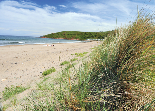Pease Bay Holiday Park
