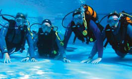 La Sirene - Eurocamp