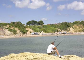 Whitecliff Bay Holiday Park