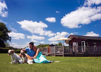 moon valley yorkies parks in moon valley yorkies parks in